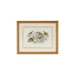 GOLD FINCH,BUNTING & WRENS Print By Chelsea House