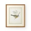 Delicate Birds Print By Chelsea House