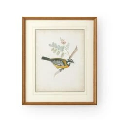 Delicate Birds Print By Chelsea House