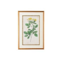 Botanical Plate Print By Chelsea House