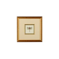 MINIATURE DRAGONFLY IV Print By Chelsea House