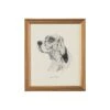 ENGLISH SETTER Print By Chelsea House