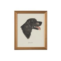 GORDON SETTER Print By Chelsea House