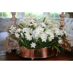 Antique Bowl By ELK Home