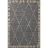 Rainier Rai-09 Runner Rug By Loloi Rugs