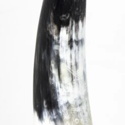 Daylon Horn Small By Regina Andrew -Home Accessories Sales Regina Andrew 20 1546 3