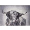 Animal Portraits Print By Stylecraft