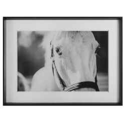Eyes On The Prize Framed Print Print By Uttermost