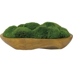 Uttermost Kinsale Moss Centerpiece Botanical By Uttermost