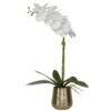 Uttermost Cami Orchid With Brass Pot Botanical By Uttermost