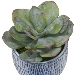Uttermost Puebla Greenery In Blue & White Pots, S/3 Botanical By Uttermost -Home Accessories Sales Uttermost 60192 A2 DETAIL