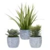 Uttermost Puebla Greenery In Blue & White Pots, S/3 Botanical By Uttermost